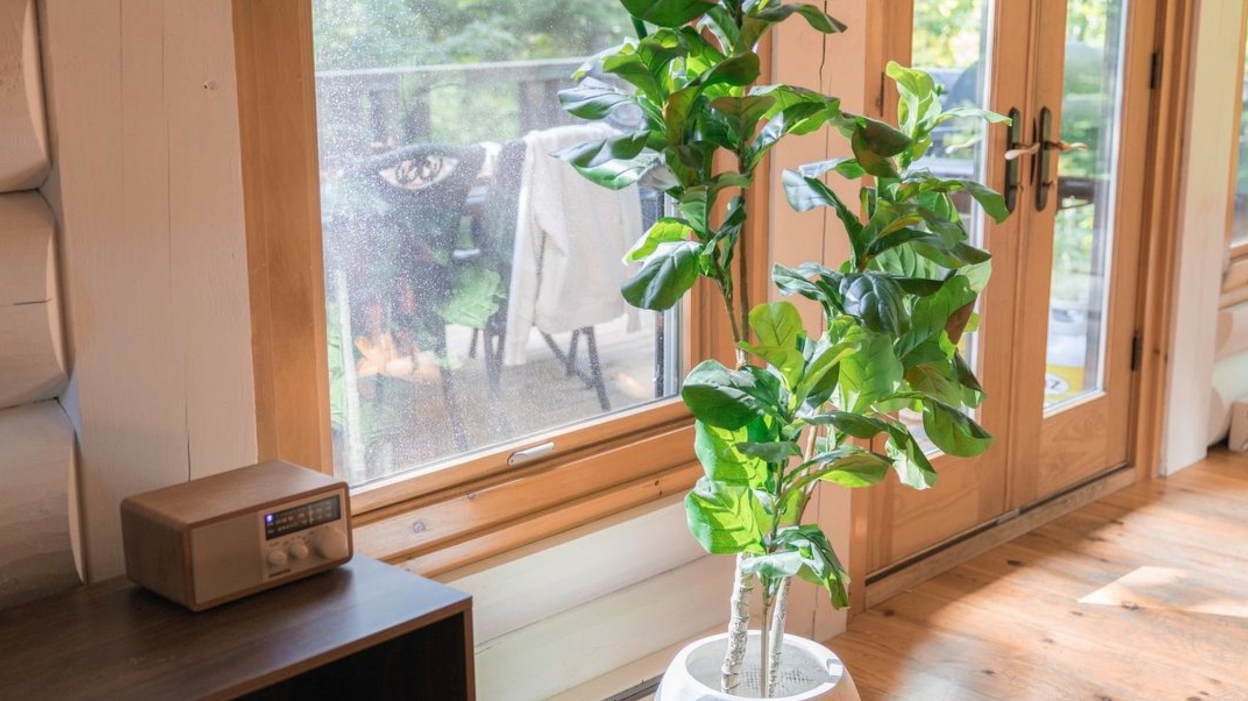 9 Occasions When To Buy A Fake Plant Over A Real Plant