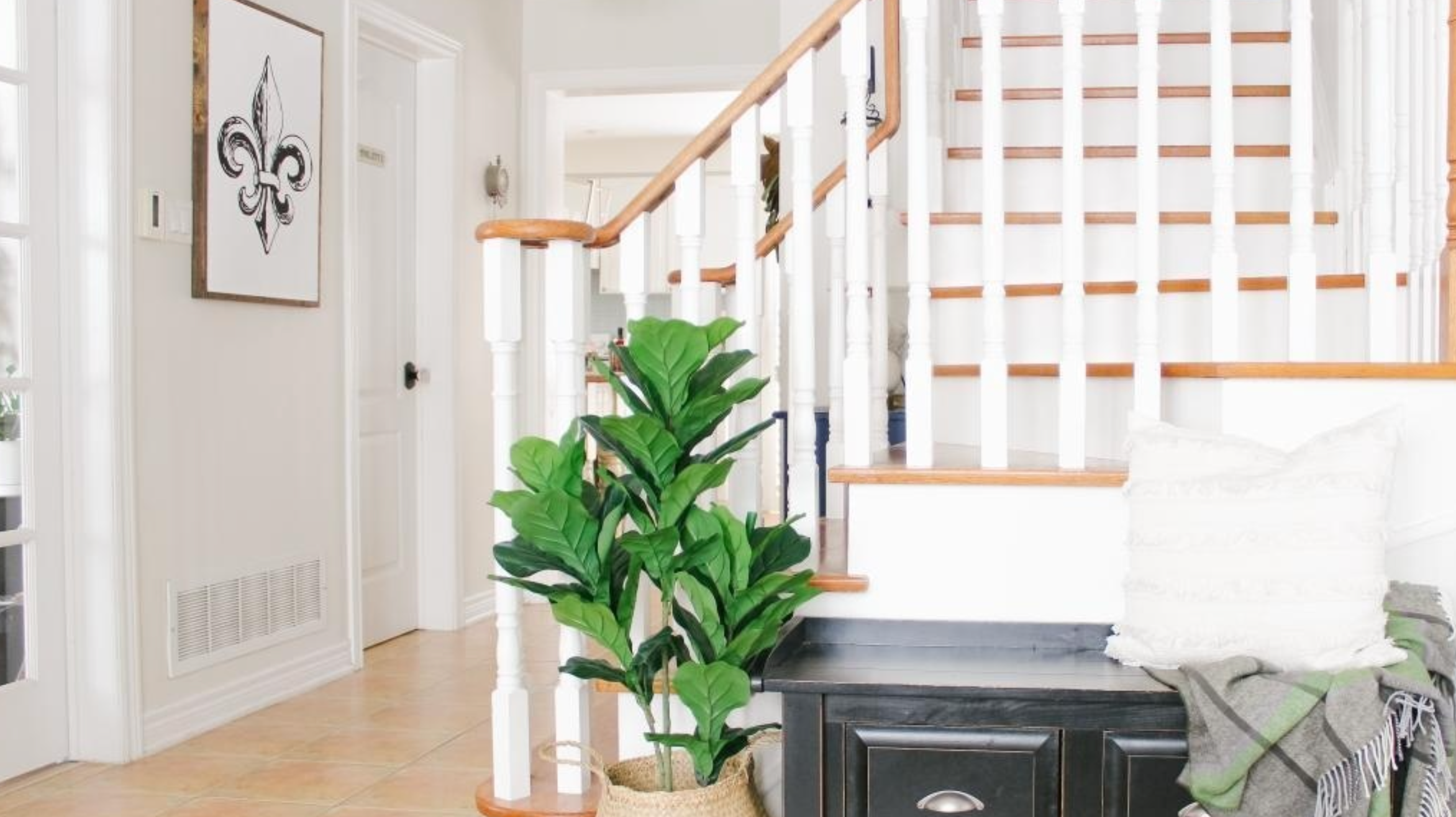 6 Things To Consider When Buying An Indoor Plant For Winter