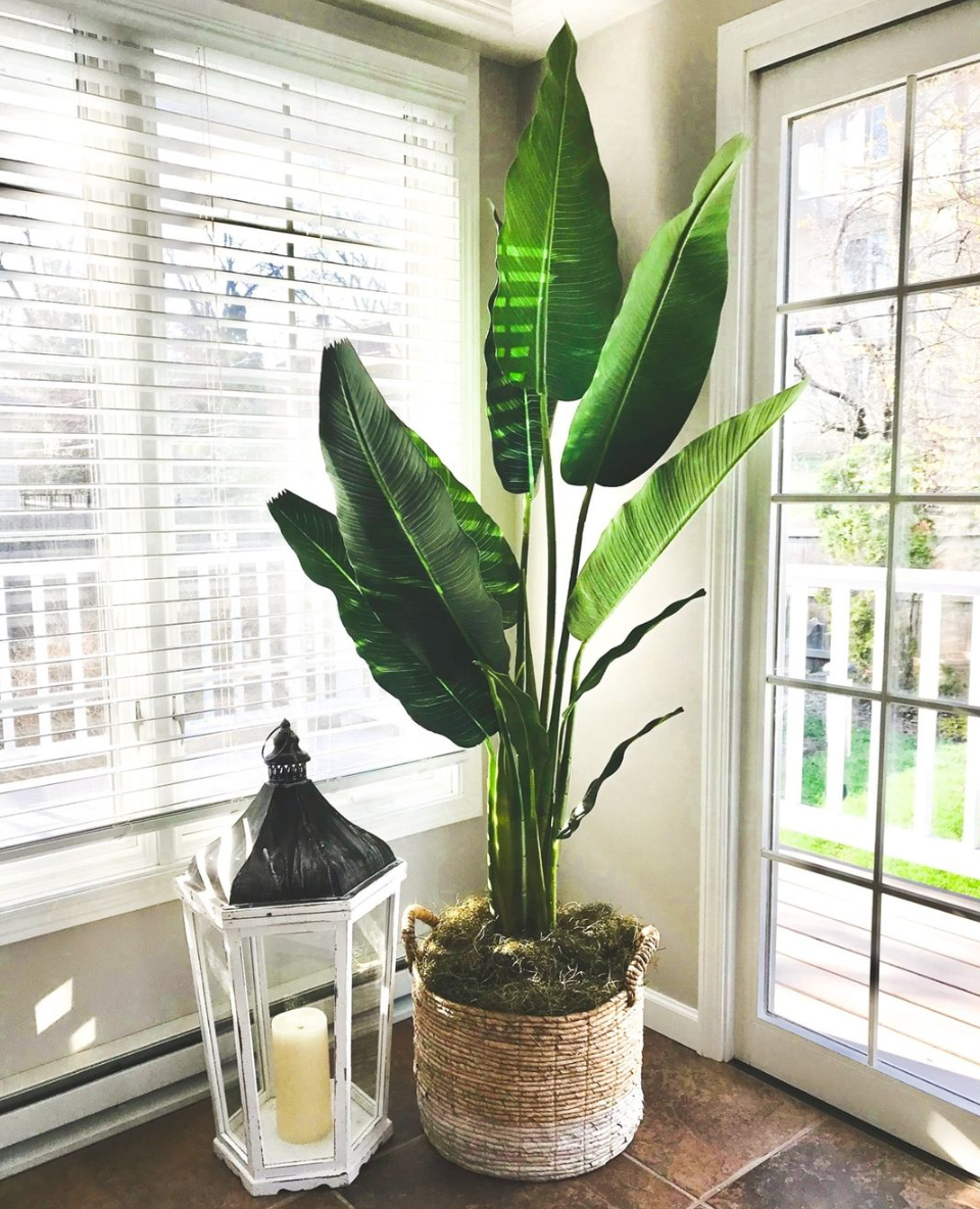 Benefits of having artificial plants in the house