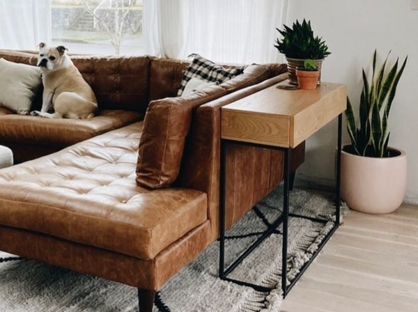 Faux Plants for Pet-Friendly Homes: Beauty without the Worry