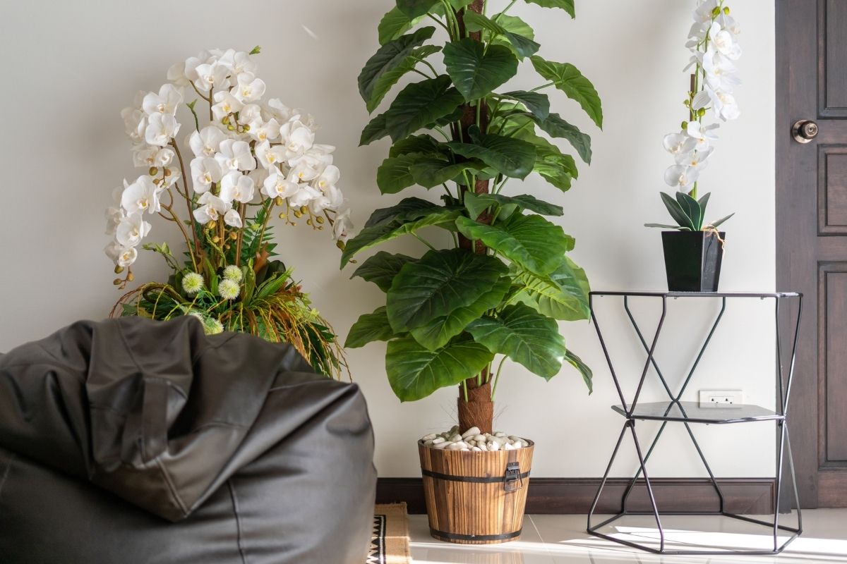 Come posso costruire il mio muro di piante artificiali a casa