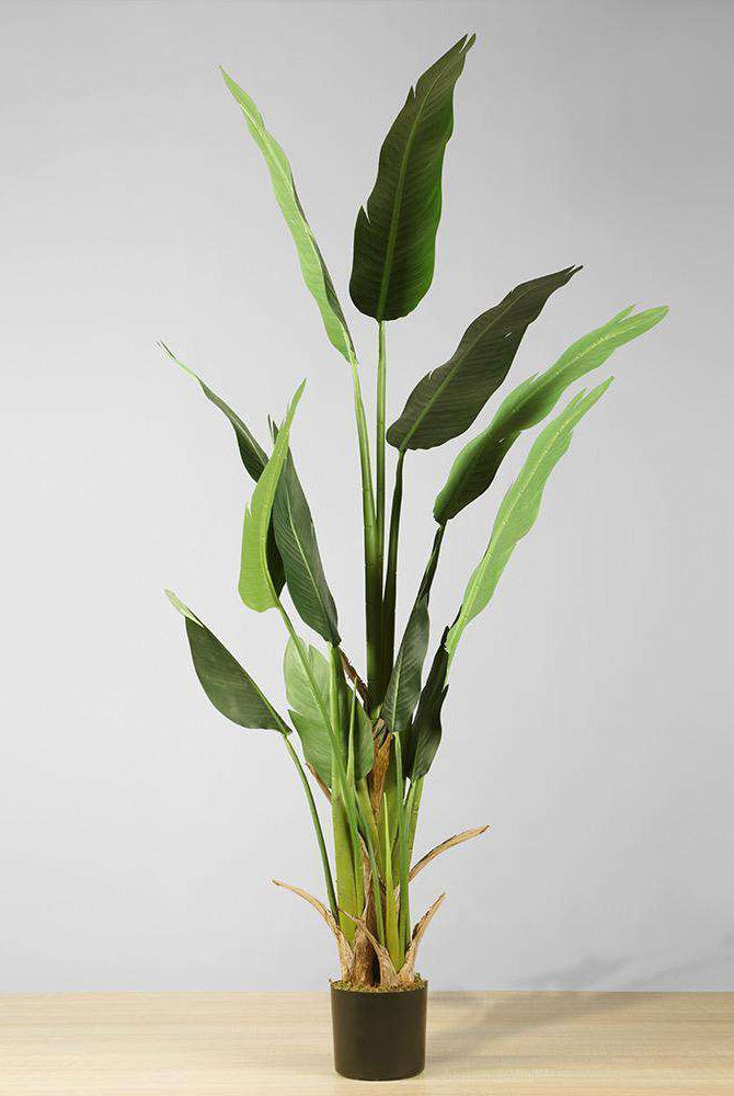 MAZA Artificial Bird Of Paradise Potted Plant (Multiple Sizes) ArtiPlanto