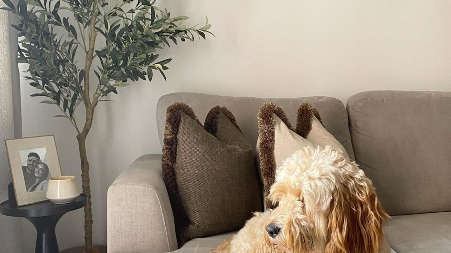Embrace Greenery Safely: Why Premium Faux Plants from Artiplanto.com Are a Pet-Friendly Choice