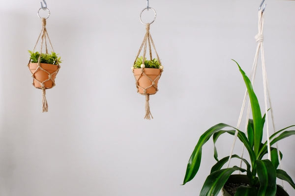 Can You Make Your Own Fake Hanging Plant?