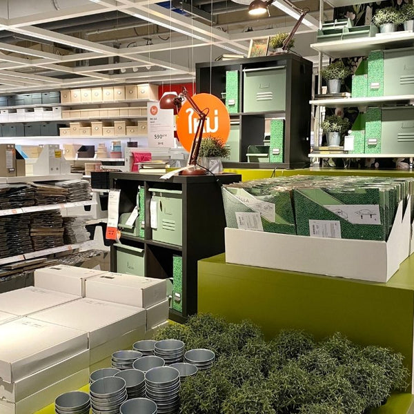Le piante artificiali IKEA sembrano reali? –