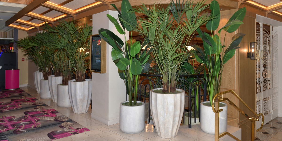 Where Can I Buy Large Artificial Plants For My Décor – See Here