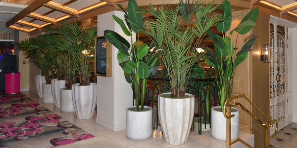 Where Can I Buy Large Artificial Plants For My Décor – See Here