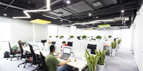 Why Faux Plants Are The Future Of Office Space Design
