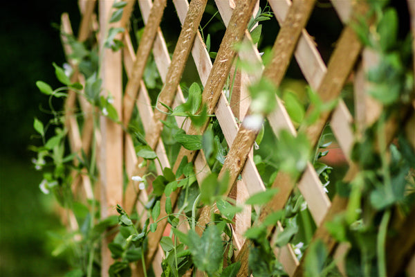 What Is An Artificial Plant Trellis?