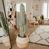 Plantă în ghiveci cactus artificial Tito 41''