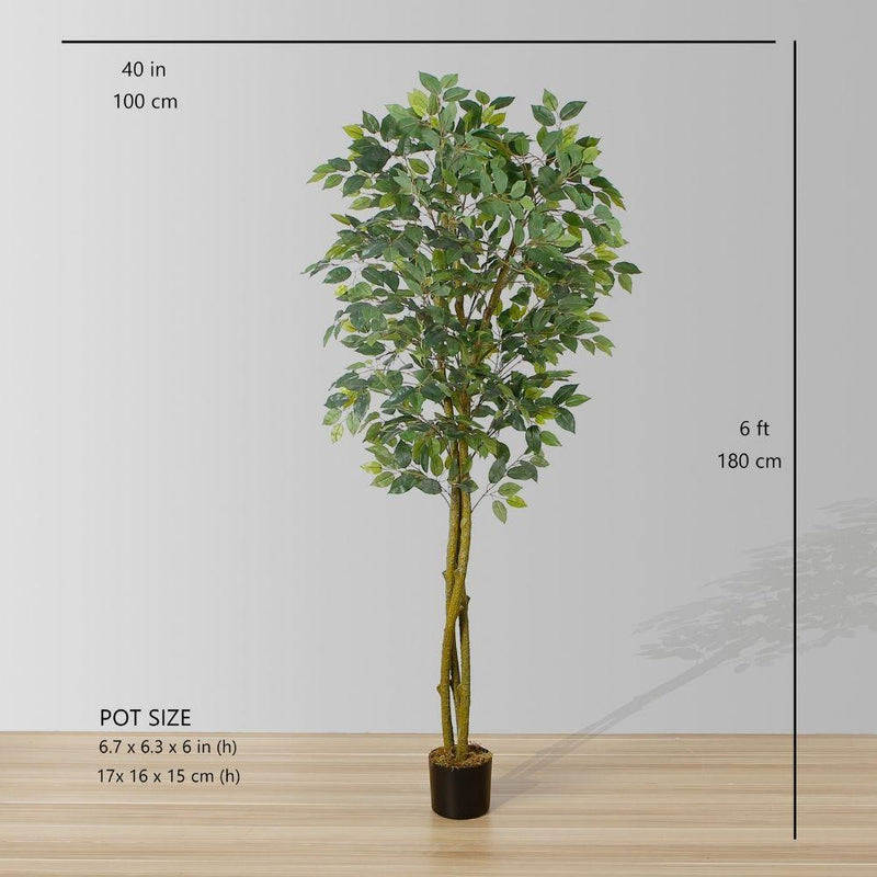 Benja Artificial Ficus Tree Potted Plant 6ft (183cm)