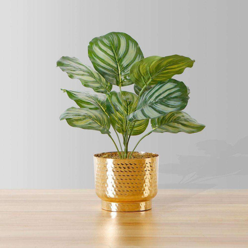 Calathea Faux Potted Plant Potted Artificial Plant ArtiPlanto 