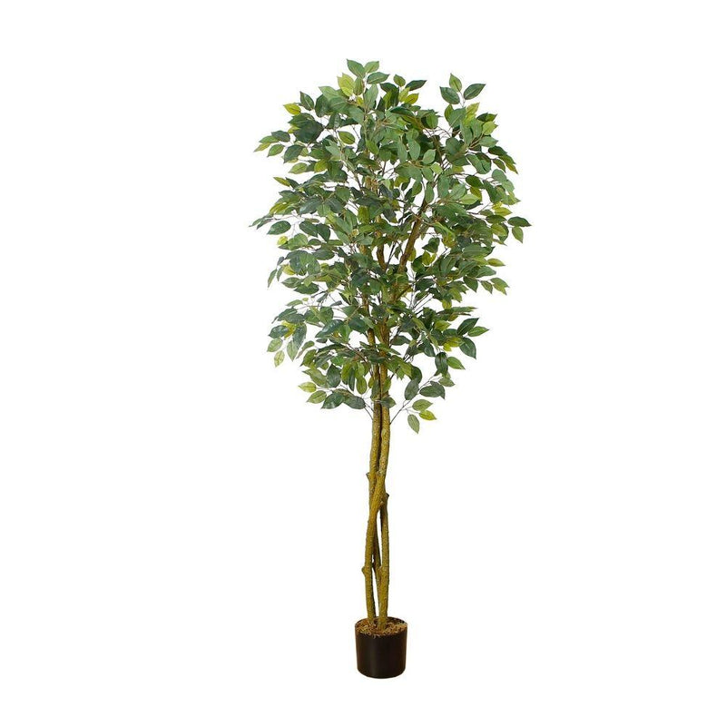 Planta en maceta de árbol de ficus artificial Benja 6 pies (183 cm) –