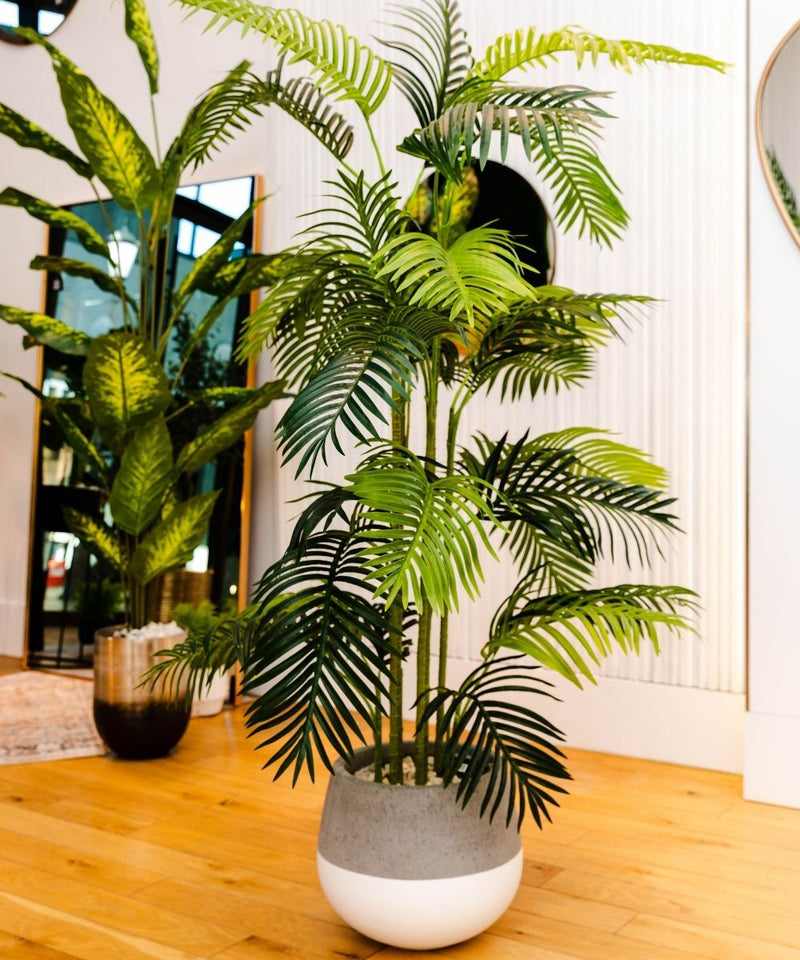 Arlo Künstliche Hawaii-Kwai-Palme Topfpflanze 5,2 Fuß (160 cm)