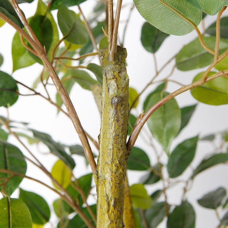 Planta en maceta de árbol de ficus artificial Benja 6 pies (183 cm) –
