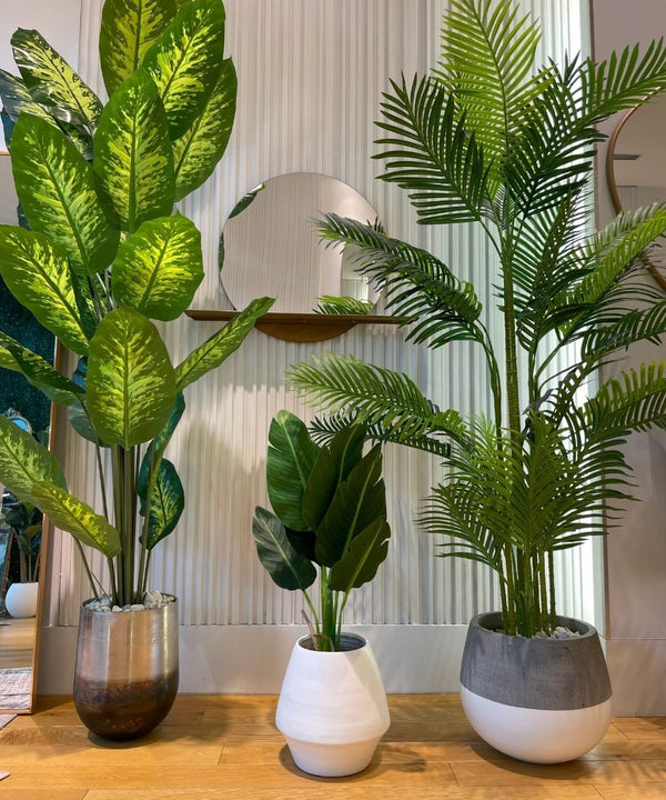Dira Plante artificielle en pot à feuilles persistantes 150 cm