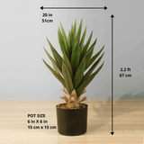 Aloa Aloe Artificial Tree Plant în ghiveci 2,2 ft (67 cm)