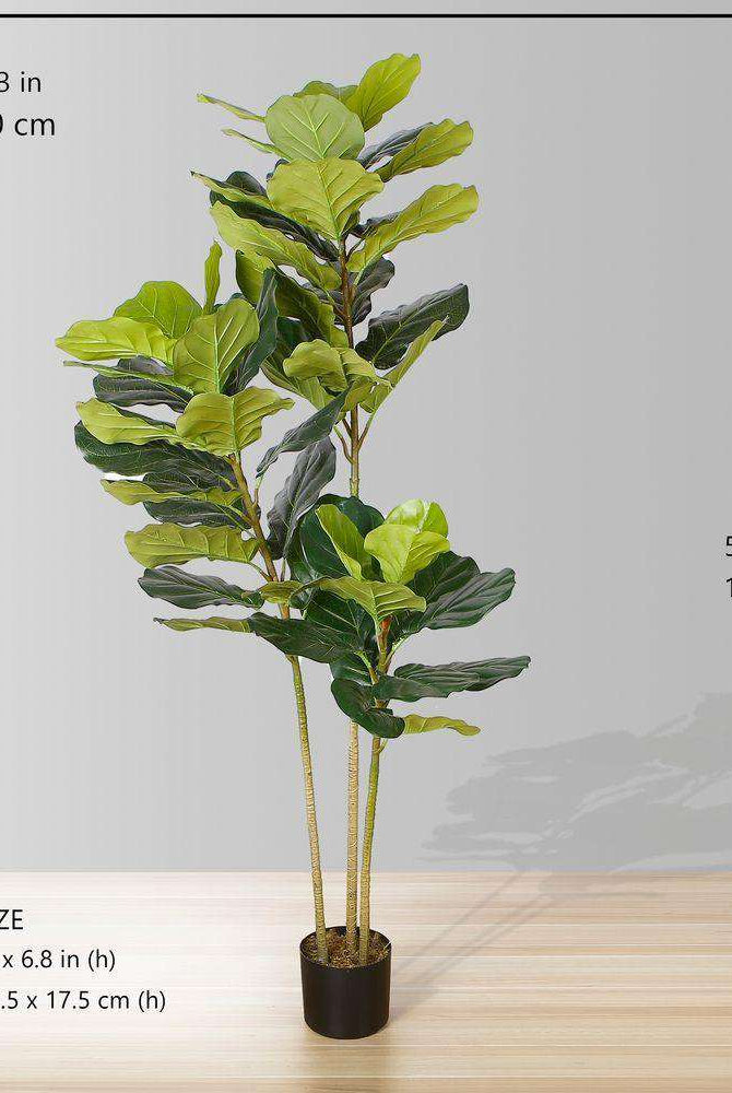 ALVA Artificial Fiddle Leaf Potted Plant (Multiple Sizes) ArtiPlanto