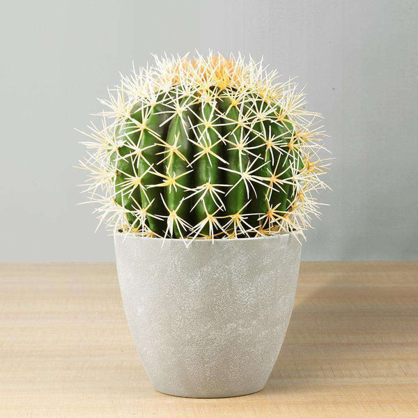 COCO Artificial Cactus Potted Plant 11" ArtiPlanto