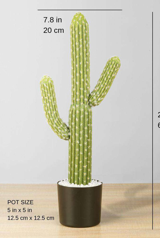 DADO Artificial Cactus Potted Plant 2' ArtiPlanto