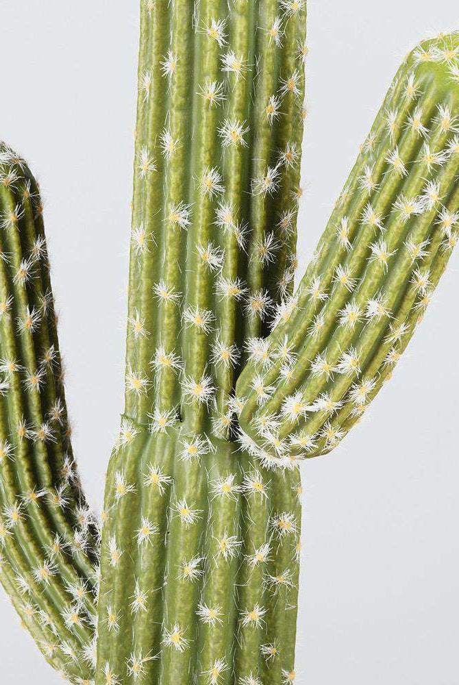 DADO Artificial Cactus Potted Plant 2' ArtiPlanto