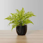 DASA POTTED FAUX FERN ArtiPlanto