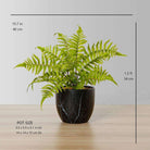 DASA POTTED FAUX FERN ArtiPlanto