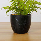 DASA POTTED FAUX FERN ArtiPlanto