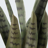 DEZI Artificial Snake Sansevieria Dark Green Potted Plant 21'' ArtiPlanto