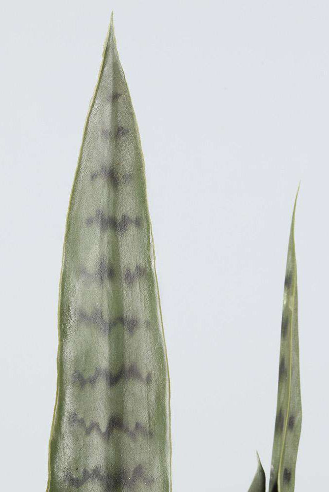 DEZI Artificial Snake Sansevieria Dark Green Potted Plant 21'' ArtiPlanto