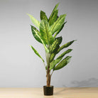 DIRA Artificial Evergreen Potted Plant (MULTIPLE SIZES) ArtiPlanto