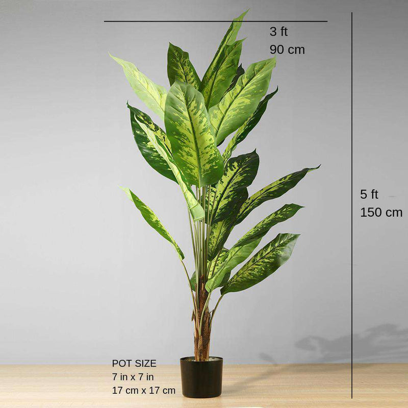 DIRA Artificial Evergreen Potted Plant (MULTIPLE SIZES) ArtiPlanto