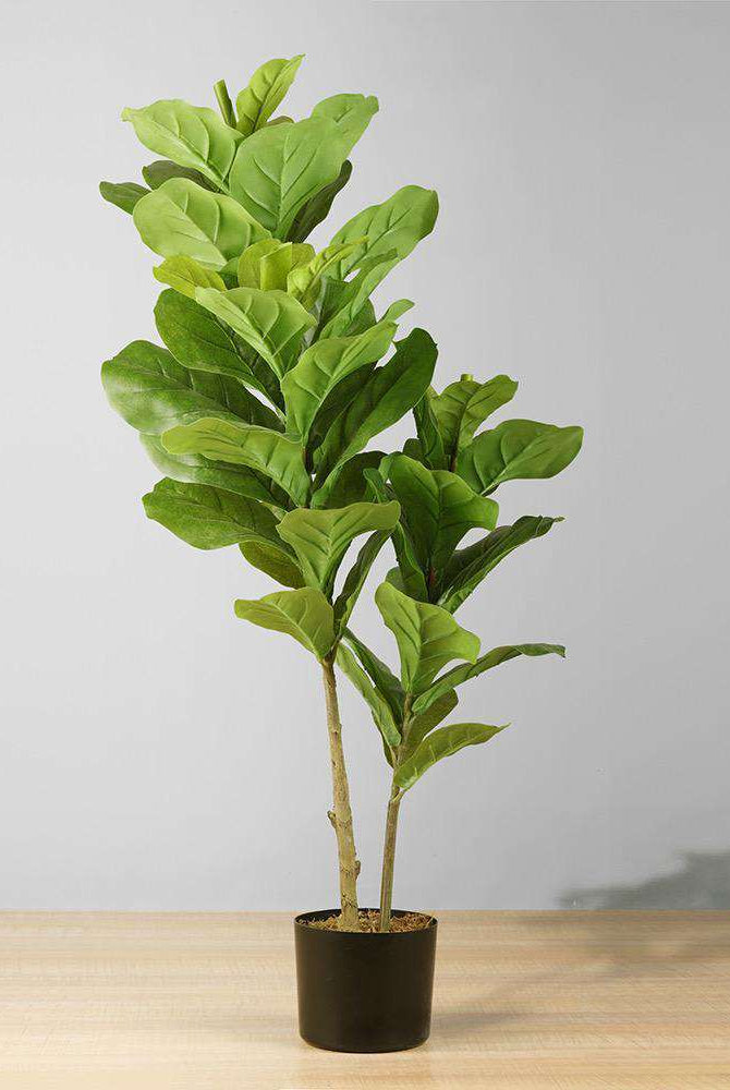 FAFA Artificial Fiddle Leaf Potted Plant (Multiple Sizes) ArtiPlanto