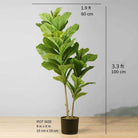 FAFA Artificial Fiddle Leaf Potted Plant (Multiple Sizes) ArtiPlanto