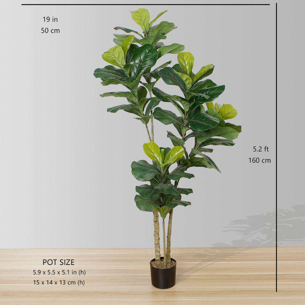 FAFA Artificial Fiddle Leaf Potted Plant (Multiple Sizes) ArtiPlanto