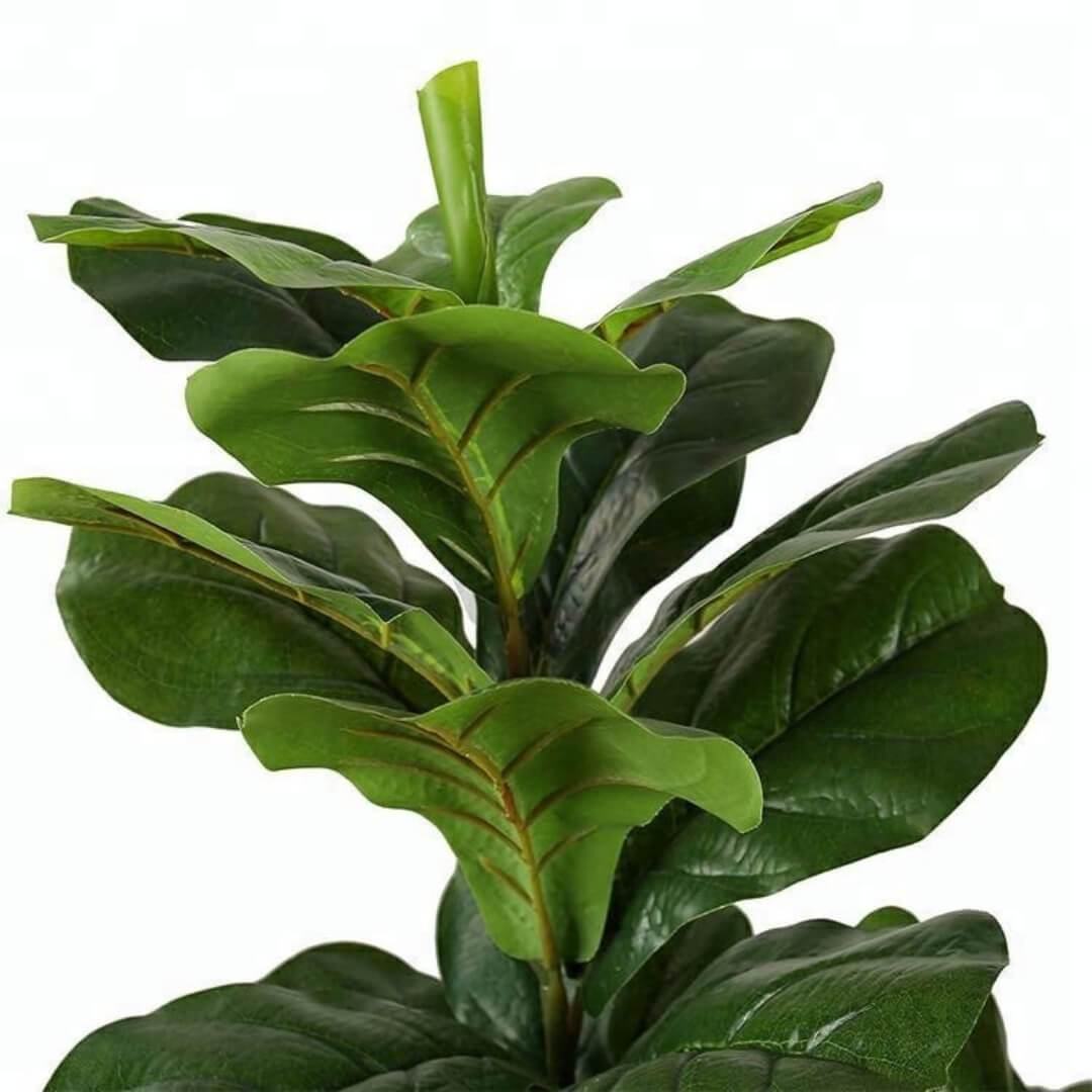 FAFA Artificial Fiddle Leaf Potted Plant (Multiple Sizes) ArtiPlanto