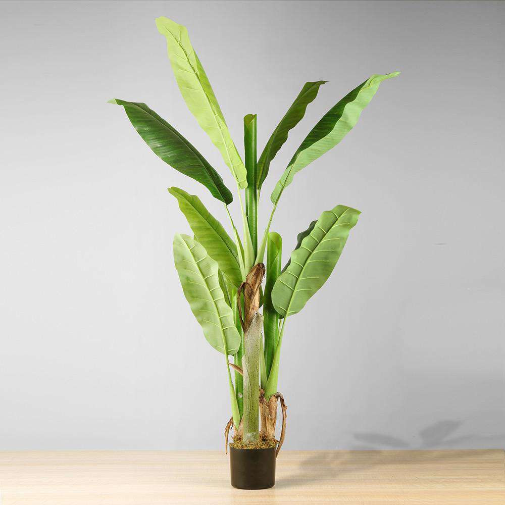 KIKI Artificial Banana Tree Potted Plant 55'' ArtiPlanto