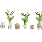 KIKI Artificial Banana Tree Potted Plant 55'' ArtiPlanto