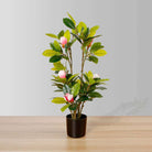 KIRA ARTIFICIAL MAGNOLIA TREE POTTED PLANT 28'' ArtiPlanto