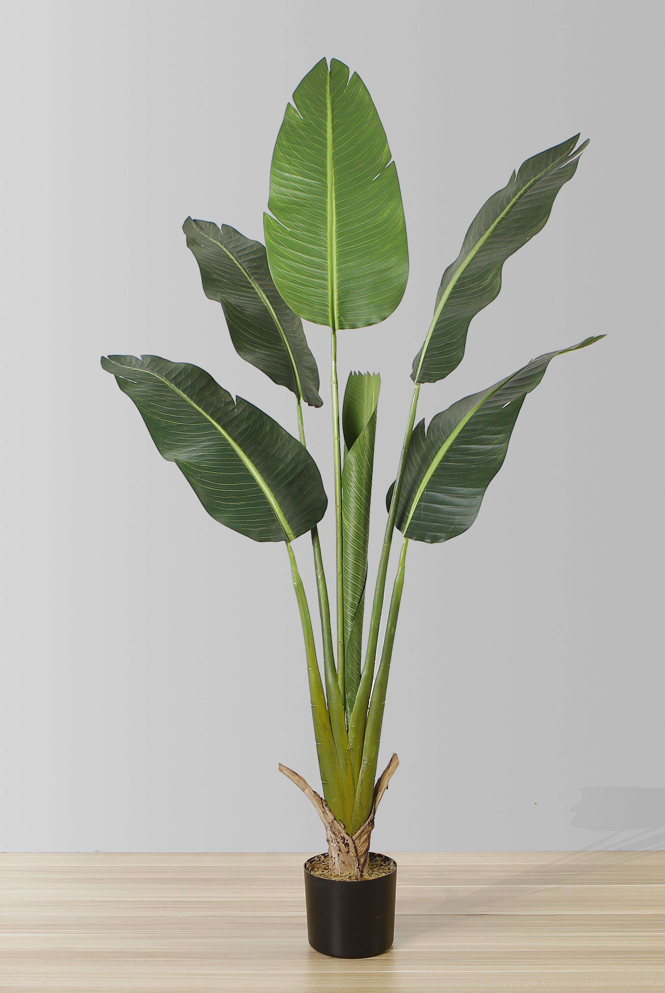 LUCA Artificial Bird Of Paradise Potted Plant (Multiple Sizes) ArtiPlanto