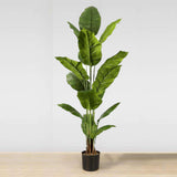 MOKA Artificial Spathiphyllum Leaf Potted Plant (Multiple Sizes) ArtiPlanto