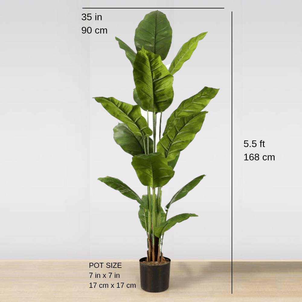 MOKA Artificial Spathiphyllum Leaf Potted Plant (Multiple Sizes) ArtiPlanto