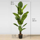 MOKA Artificial Spathiphyllum Leaf Potted Plant (Multiple Sizes) ArtiPlanto