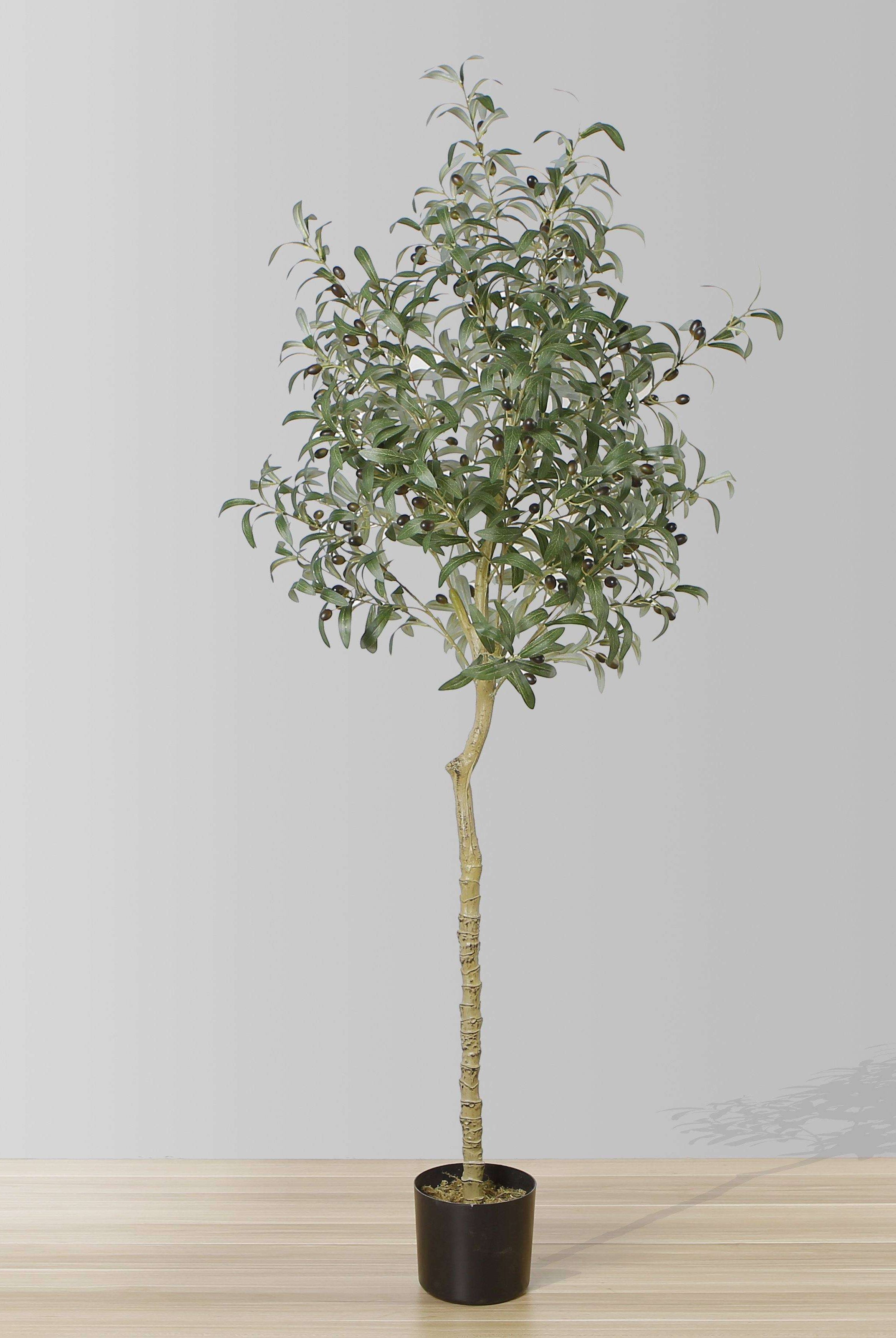 OLI ARTIFICIAL OLIVE TREE POTTED PLANT (Multiple Sizes) ArtiPlanto