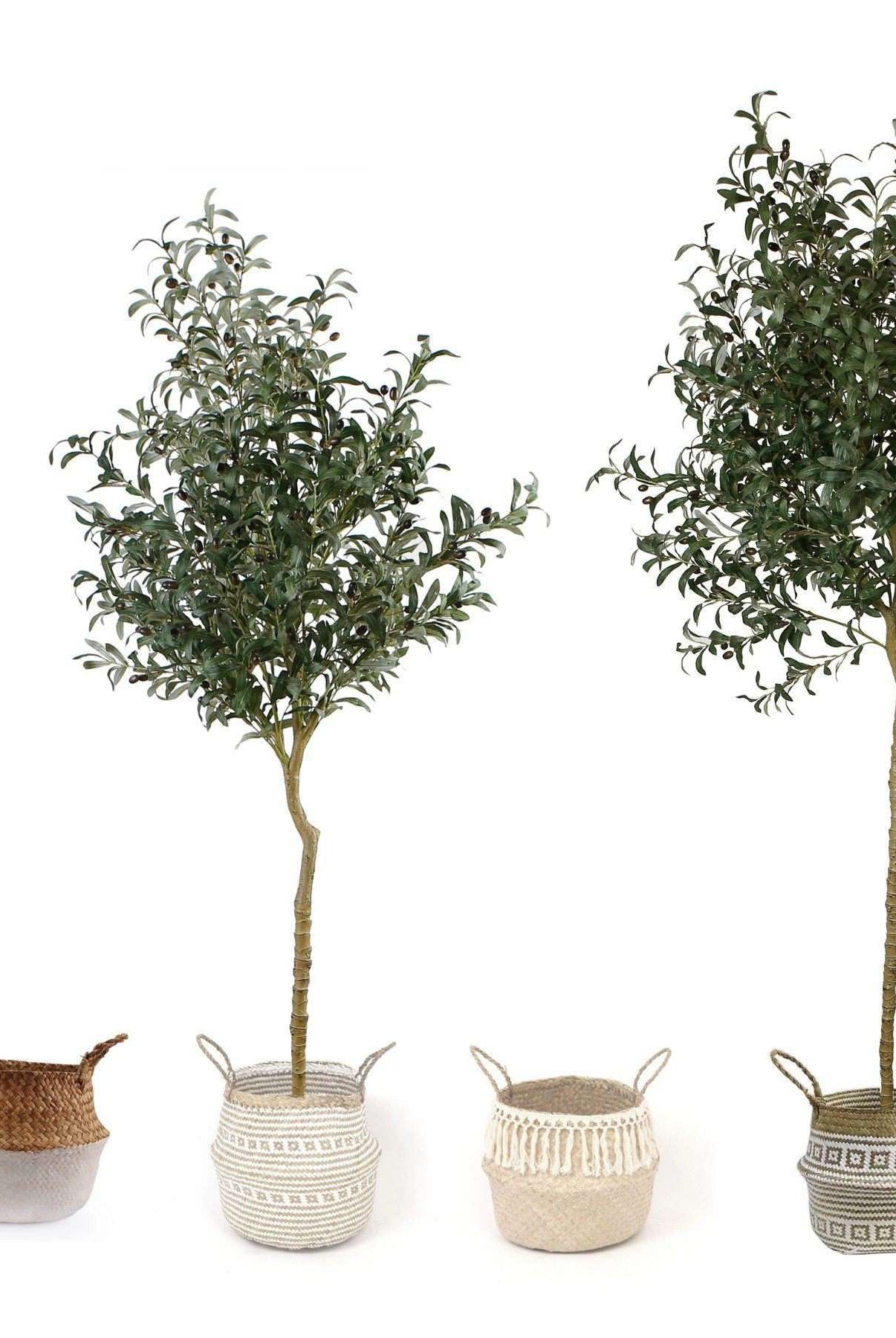 OLI ARTIFICIAL OLIVE TREE POTTED PLANT (Multiple Sizes) ArtiPlanto