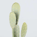 PENKA Artificial Cactus Potted Plant 26'' ArtiPlanto