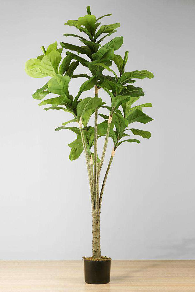 PIÑA Artificial Fiddle Leaf Potted Plant 5' ArtiPlanto