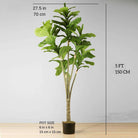 PIÑA Artificial Fiddle Leaf Potted Plant 5' ArtiPlanto