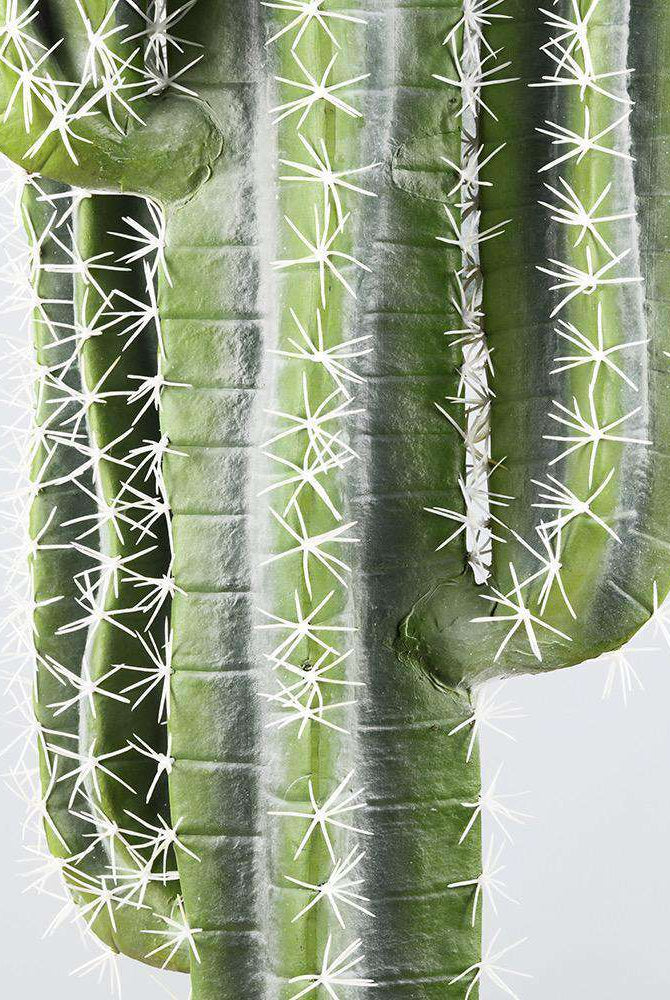 TITO Artificial Cactus Potted Plant 41'' ArtiPlanto