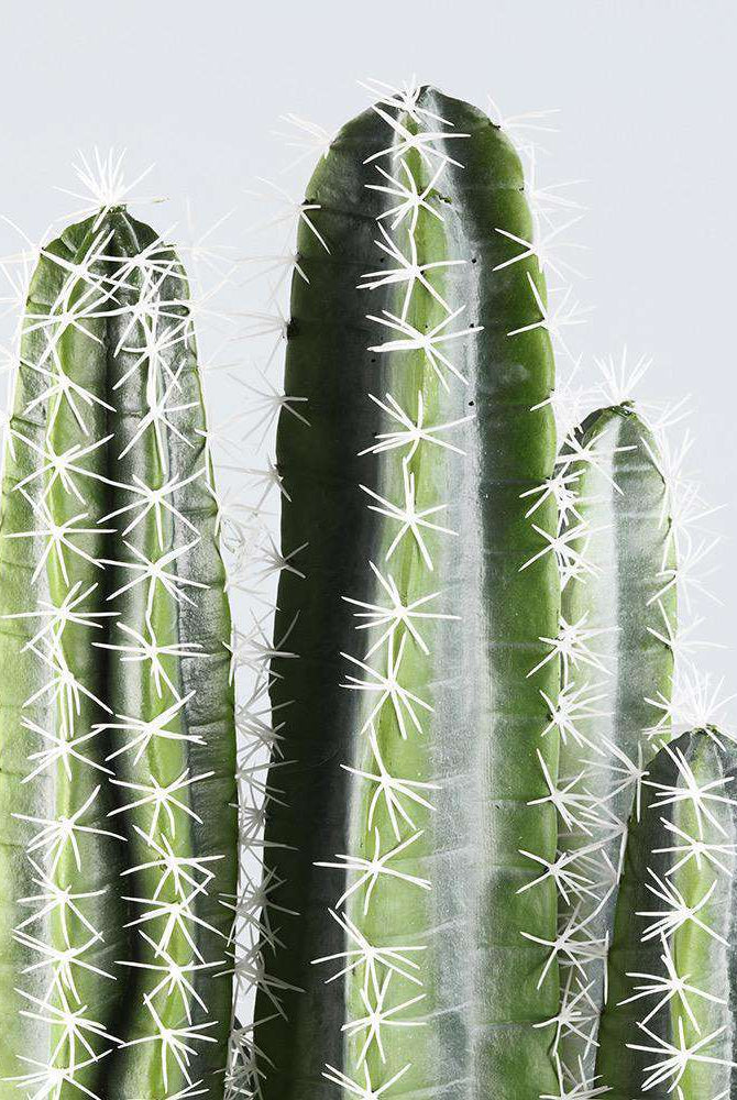 TITO Artificial Cactus Potted Plant 41'' ArtiPlanto